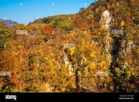 Naruko Hot Spring Hi Res Stock Photography And Images Alamy
