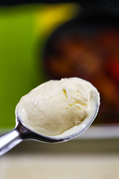 Homemade Sour Cream Gelato Ice-cream Recipe – Crave Cook Click