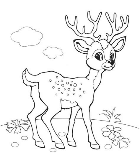 Раскраска Олень - детские раскраски распечатать бесплатно | Deer ...