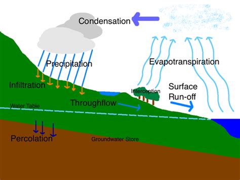 [DIAGRAM] Freshwater River Diagrams - MYDIAGRAM.ONLINE