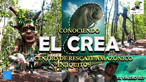 Conociendo El CREA centro de Rescate Amazónico en Iquitos YouTube