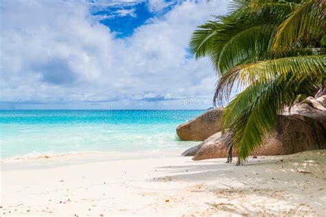 Tropisch Strand De Seychellen Stock Foto Image Of Foto Strand 47980000