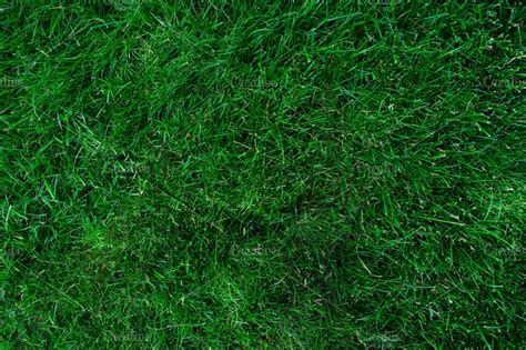 Soft Grass | High-Quality Abstract Stock Photos ~ Creative Market