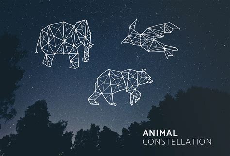 3 animal constellation illustrations on Behance