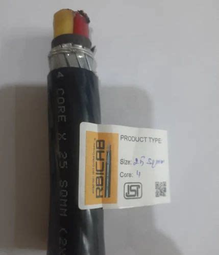 Rbicab 4 Core X 25 Sq Mm Copper Conductor Xlpe Insulated And Pvc Sheathed Armoured Cable At Rs 847