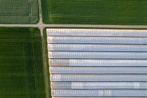 Impact — Evergreen Innovation Platform