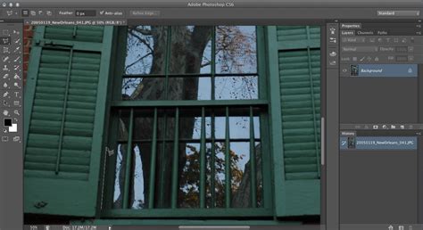 Lasso Tool Photoshop Elements