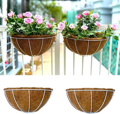 Amazon Lalagreen Wall Planters Pack Inch Wall Mounted