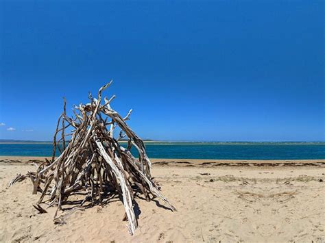 Things To Do In Inverloch The Beach House Inverloch