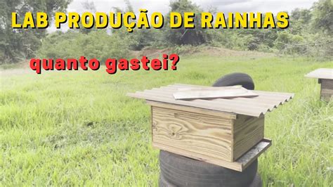 Mostrando O Laborat Rio De Produ O De Abelhas Rainhas Apis Mellifera