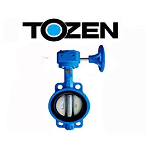 Jual Tozen Butterfly Valve Jis K Body Cast Iron Disc Ductile Gear