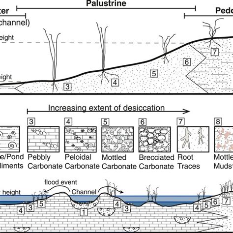 Composite Stratigraphic Column Meters Of The Newark Canyon Formation