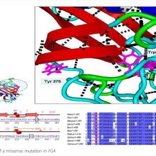 Genotypic expression of mutations in fibrinogen gene (FGA, FGB & FGG ...