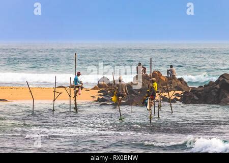 Sri Lankan Stilt Fishing Stock Photo Alamy