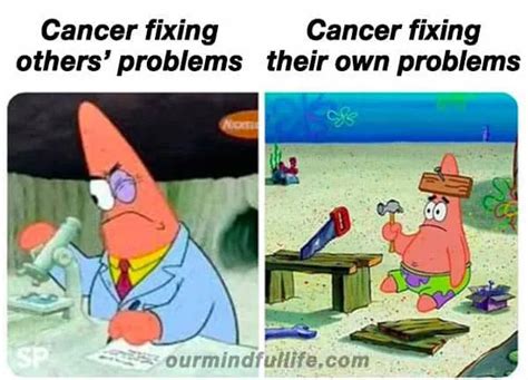 33 Funny Cancer Memes That Reveal The Untold Truth Of Cancerians