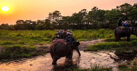 Chitwan Jungle Safari Tour 3 Days Itinerary Cost