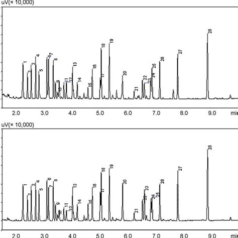 Tic Chromatogram 20 M Vf 5 Column Of Gc Msei Analysis Of Amino Acid Download Scientific