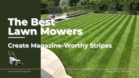 Our Best Lawn Mowers For Stripes - Top Choices