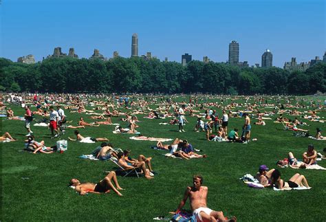 Topless In The Park Telegraph