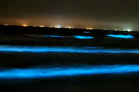 Galveston waters are glowing blue for a limited time