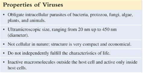 Ch 13 Flashcards Quizlet