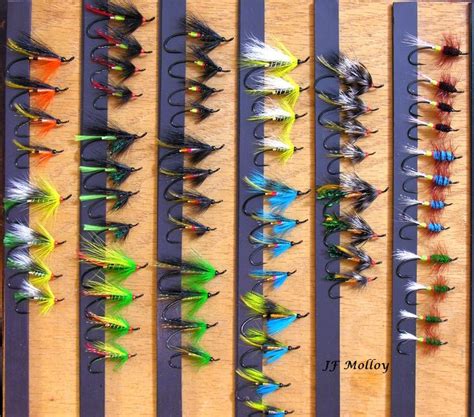 Pin by Jerome Molloy on Salmon Flies | Salmon flies, Fly fishing, Fly tying