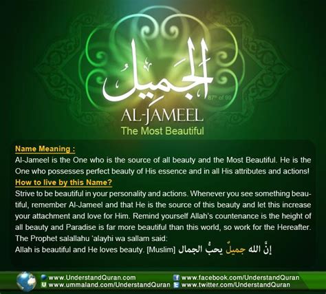 answer  al jameel understand al quran academy