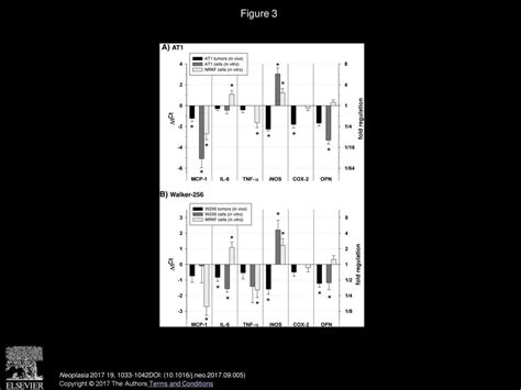 Tumor Acidosis And Hypoxia Differently Modulate The Inflammatory