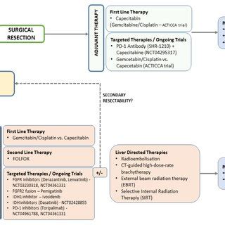 Therapy algorithm of intrahepatic cholangiocarcinoma. | Download Scientific Diagram