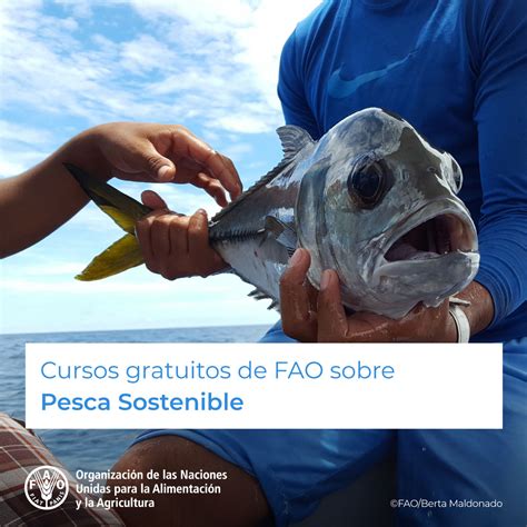 Fao Colombia On Twitter Rt Faoamericas Cursos Gratuitos Sobre