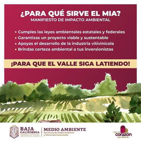 Manifiesto De Impacto Ambiental 5