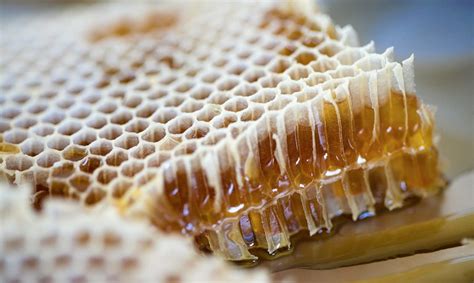 Use + History: Honey and Honeycomb - Healdsburg SHED