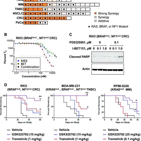 Broad Synergy For The Combination Of Bet And Mek Inhibitors Across Download Scientific Diagram