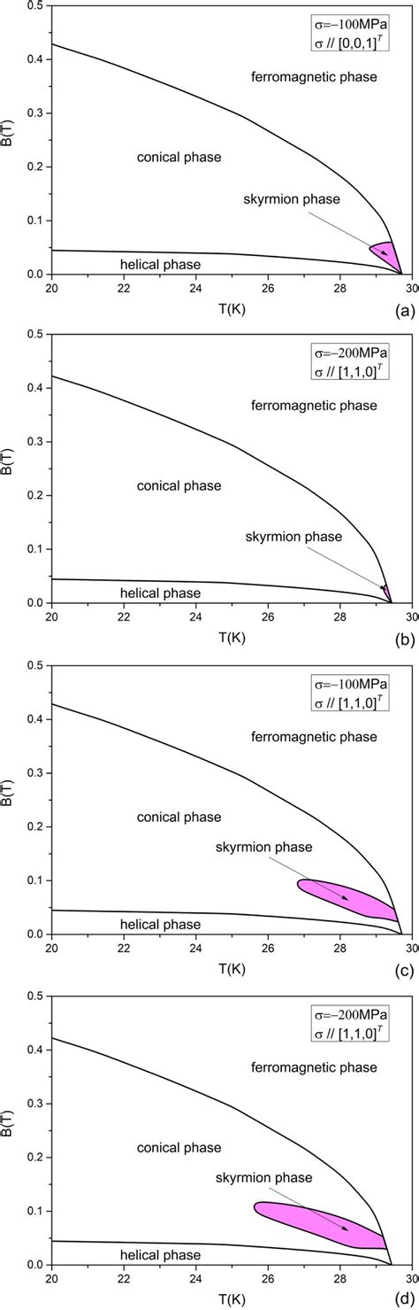 Temperature Magnetic Field Phase Diagram Of MnSi When The System Is