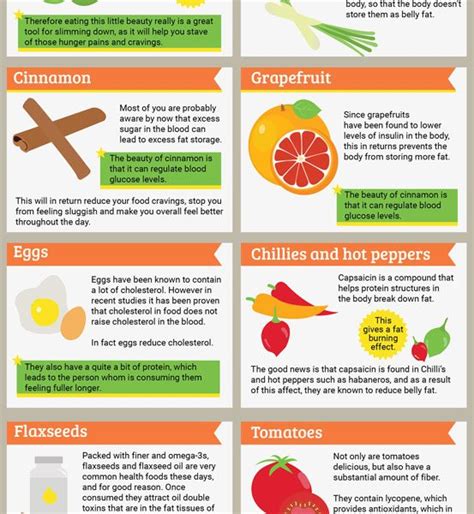 Fat Burning Foods Infographic Best Infographics