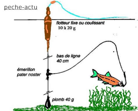 Comment pêcher le brochet