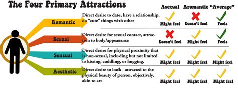 Sexual Attraction Vs Romantic Attraction Elakiri