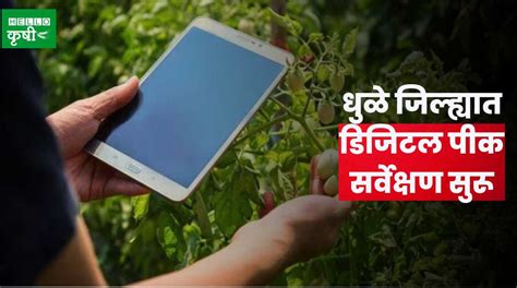 Digital Crop Survey धुळे जिल्ह्यात डिजिटल पीक सर्वेक्षण सुरू जाणून