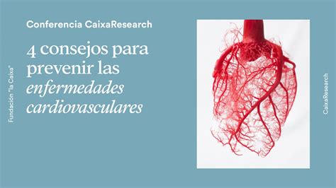 4 Consejos Para Prevenir Las Enfermedades Cardiovasculares Blog