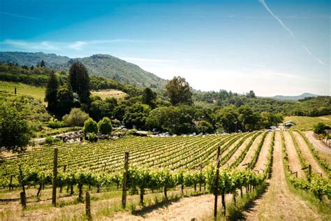 Vineyard Tours And Wineries Near Mountain House Estate