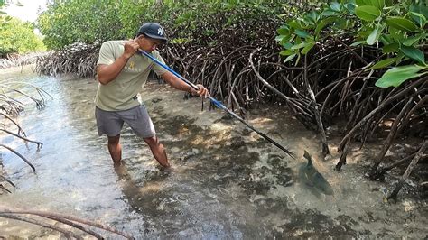 Menombak Ikan Di Pantai Bakau Saat Pasang Surut Siang Hari Hasilnya