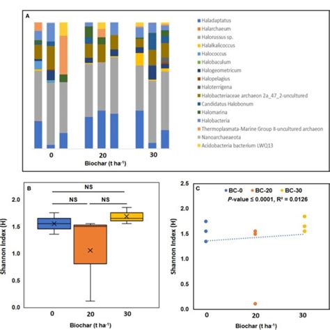 FIGURE Relative Abundance Of Archaeal Genera In The Biochar Treated And