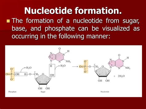 Ppt Classification Structure And Biological Role Of Heterocyclic