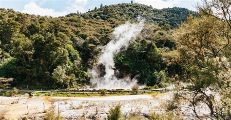 Rotorua: Waimangu Volcanic Valley Entry Ticket