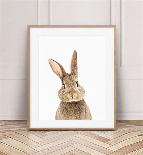 Bunny Print Rabbit Wall Art Nursery Wall Art Woodland Etsy