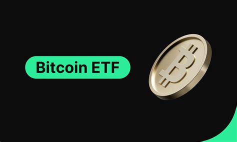 As Bitcoin Continues Its Wild Ride Spot Btc Etfs Set A Record With 10