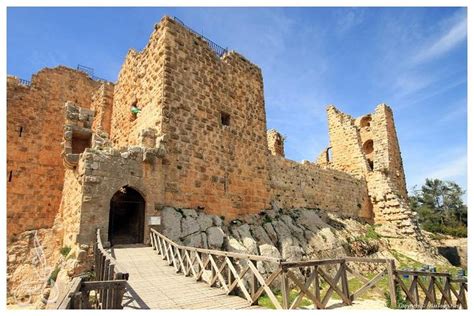 Tripadvisor Jerash Ajloun Og Umm Qais Dagstur Fra Amman Levert Av