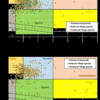 Van Krevelen Plots Showing The Distribution Of Identified Compounds Of