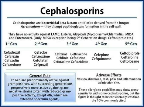 Cephalosporins