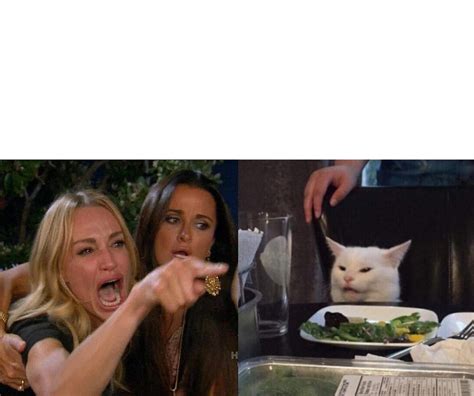 Vibe cat meme template - luxesery